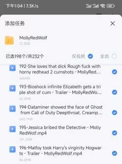 [转载搬运] mollyredwolf       72g超大合集198v [198v+72g][附件下载]